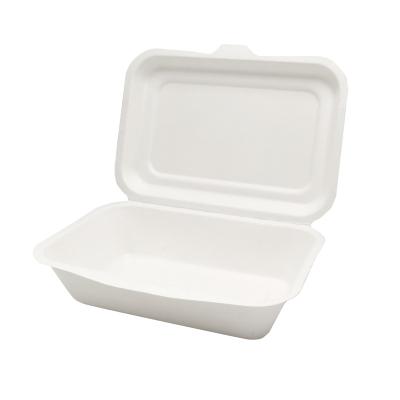 China Disposable Hot Sale Noodles Packaging Boxes , Compostable Square Food Boxes Lunch Boxes for sale