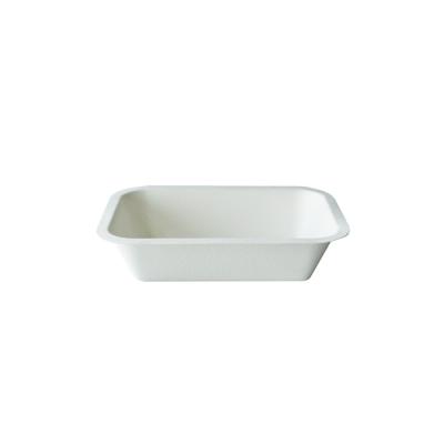 China Disposable Certified Disposable Pizza Tray With Lunch Tray Fruit Eco Friendly Store for sale