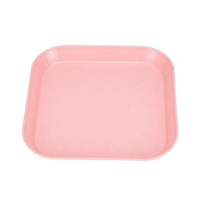 China Sustainable Fruit Snack Dish Decorative Fruit Dish Factory Wholesale Biodegradable Eco-Friendly Dish for sale