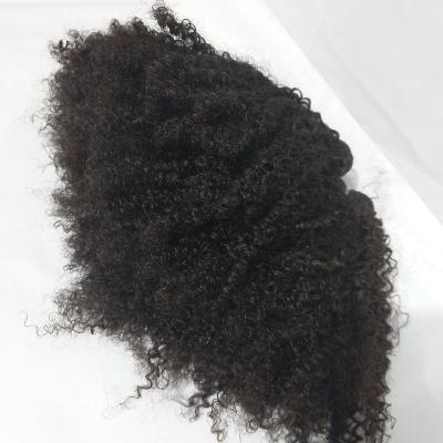 China 8A Afro Kinky Curly Brazilian Afro Kinky Curly Remy Hair Extension for sale