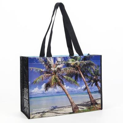 China Handled Wholesale Double Sided Printing Beach Laminated PP Woven Big Shopping Tote Bags for sale