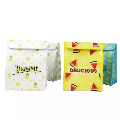 China Insulated Customized Non Woven Fruit Printing Eco Friendly Portable Insulated Small Food Cooler Bag for sale