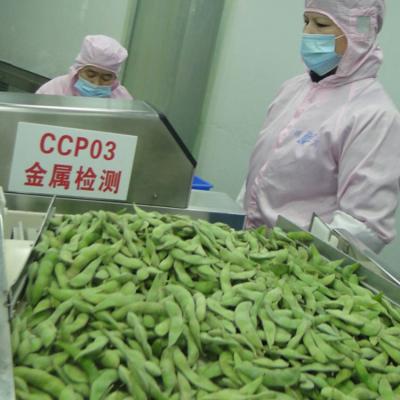 China Edamame Frozen Green Soybeans Frozen FROZEN Edamame Wholesale Edamame for sale