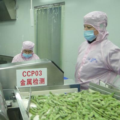 China Frozen green soybeans Frozen green edamame soybeans FROZEN soybeans for sale