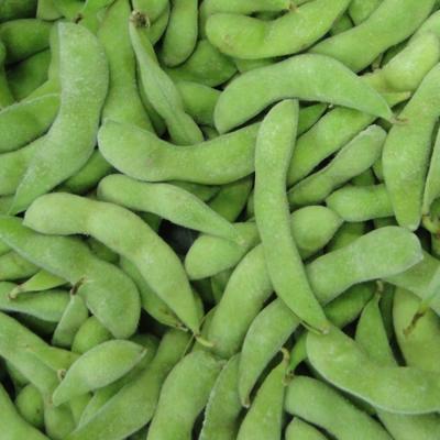 China Wholesale price frozen iqf soybean edamame beans in pods for sale