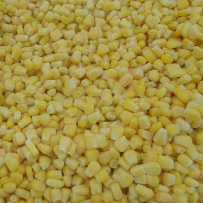 China FROZEN Corn Kernels Wholesale Factory Fresh Frozen Fruit Corn Kernels for sale