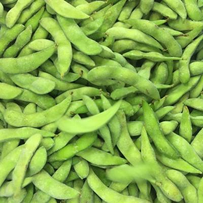 China Chinese wholesale fresh frozen soybeans IQF frozen edamame FROZEN soybeans for sale