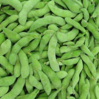 China Hot Sale Premium Quality JELLY Good Quality Frozen Green Soybeans In Edamame Pods for sale