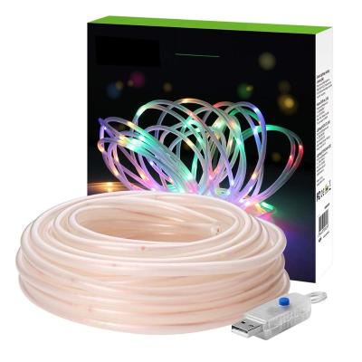 China LANDSCAPE 33ft 100 Dimmable LED Rope Lights for sale