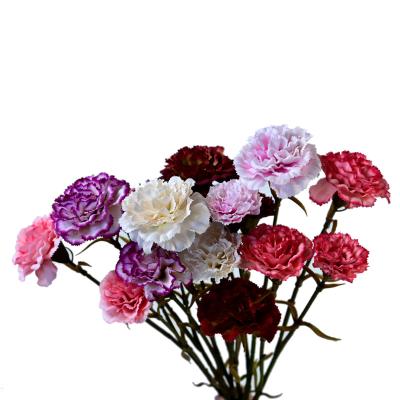 China Best Selling Indoor Outdoor Wedding Decoration Decorative Touch Real Flowers Artificial Carnation Rose Artificial Flowers for sale