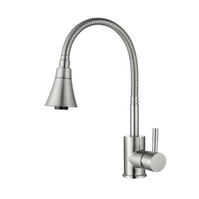 China Pull Out Modern Home Jet Factory Hotel 2 Function Stainless Steel Kitchen Sink Tap Any Direction Rotating Hot Cold Kitchen Faucet for sale