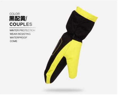 China Windproof/Waterproof/Keep Warm Heekalee Snowboard Gloves/Ski Snow Mittens Gloves for sale