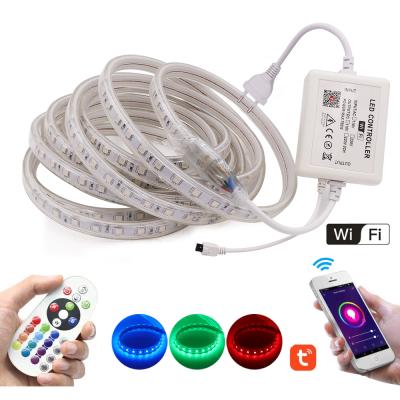 China AC220V LED Strip Light Waterproof White 5050 60Leds/m Warm White Red Green Blue LED Strip Light WiFi Ribbon Diode Waterproof White for sale