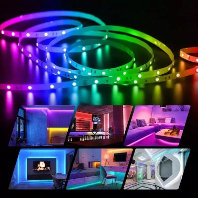 China DC5V 30/60/144 LANDSCAPE Silicone Tube LED Strip 5050 RGB Full Color 5m Smart Color LEDs/m WS2812 RGBIC LED Pixel Strip Dream Light Lamp for sale