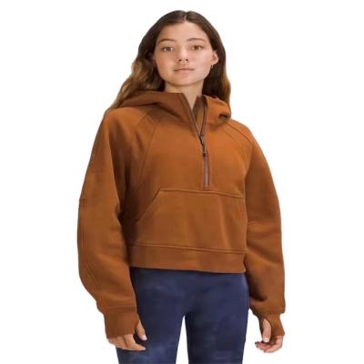 China High Quality Thick Blanket Sweatshirt Anti-wrinkle Women's Fleece Oversized Hoodie for sale