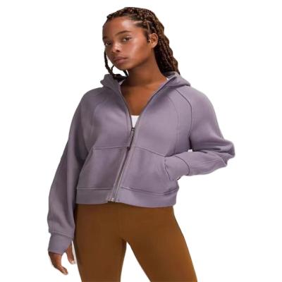 China High Quality Customized Anti-pilling Women Grow Cotton Top Women's Hoodie For Sale for sale