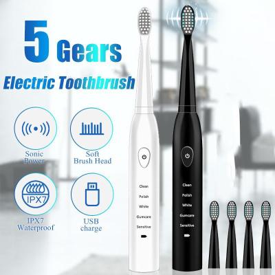 China Battery Operated Adult Dental Sonic Electric Toothbrush for Travel Home Use Made in China for sale