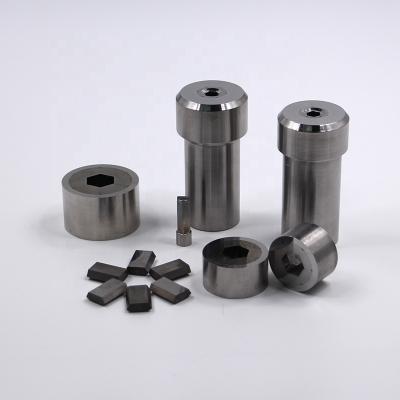 China Factory Supply Various Segmented Hex Carbide Steel Die Punch Die for sale