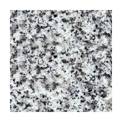 China China Modern Stone Slab Tile G603 Sesame White Granite for sale