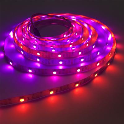 China Stable CE RoHS 17822 Built in IC Wifi Control 12v Flexible RGB 5050 IP20 Led Strip Color Changeable Led Strip Light for sale