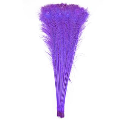 China Manufacturer #1913 Natural decoration feather material 35-40 inch peacock decoration tail feathers for sale cheap for sale