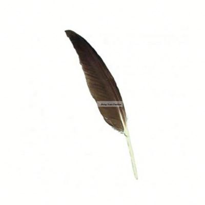 China Decoration Feather 22Pcs/Pack 5-9 Inch Material Color Gray Duck Pointers Feather for sale