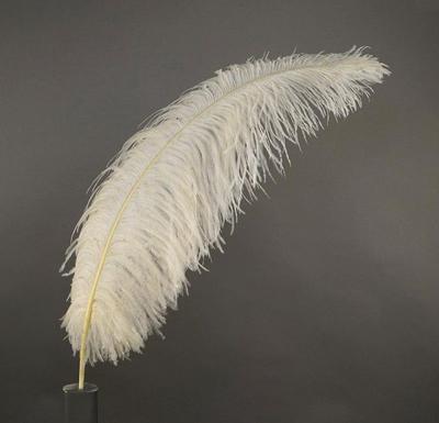 China 65-70CM Natural Two Tone Ostrich Feather Wedding Decorative Carnival Feathers 3-5' for sale