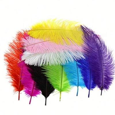 China China NO.1 Material Feather Decoration Feather Trading Wholesale High Quality Handmade Ostrich Drabs 15-18in Ostrich Feathersdrabs for sale