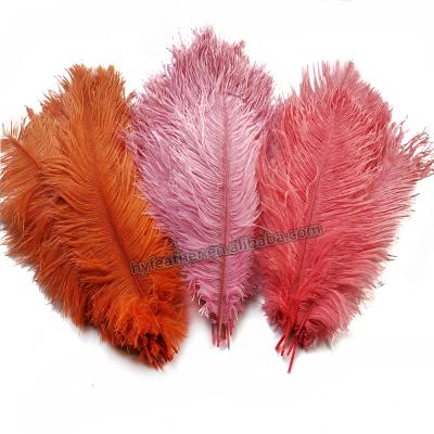 China Ostrich Feather Factory Leading Feather Crafts Best Seller High Quality Ostrich Feathers For Sale In Turkey for sale