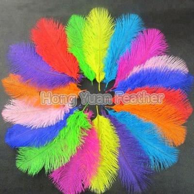 China Decoration feather material. For Handcraft Feather The Ostrich Wing Plumes Feather Ostrich Feather Femina 16-30inch for sale