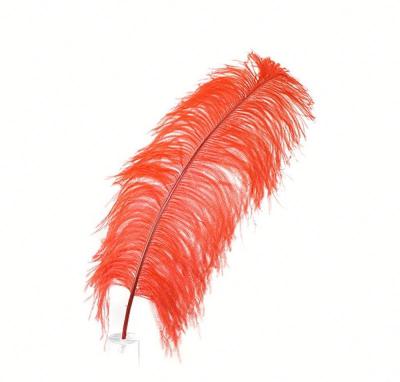 China Decoration feather material. Feather For Party Items Or Mask Wholesale Fashion Colorful Dyed Ostrich Feather Ostrich Feathers 28-30 Inch For Decoration for sale