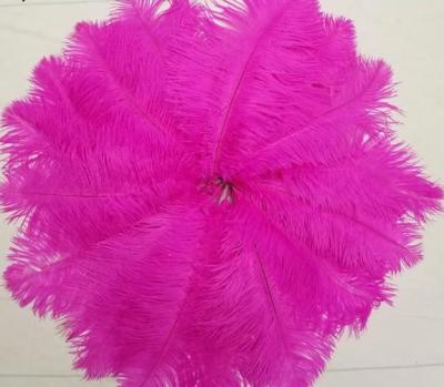 China Decoration feather material. Wholesale Decorative Artificial Colorful Loose Feather Ostrich Feather For Ware Or Mask Party 50-55cm Decoration For Wedding Centerpiece for sale