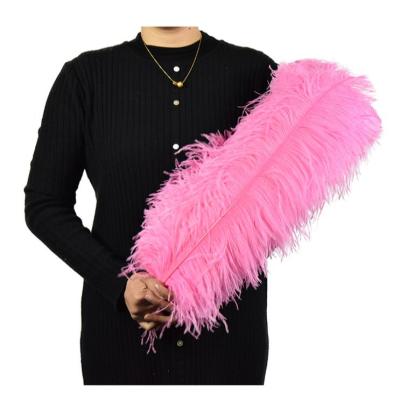 China Decoration feather material. Feather For Party Items Or Mask Purple Dyed Colors Large Artificial Ostrich Feathers Feathers 50-55cm For Decorations Large Ostrich Feather for sale