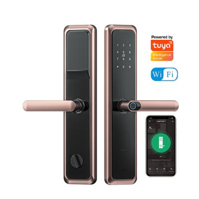 China Home Smart WiFi App Tuya Office Apartments Door Handle Digital Code Card Fingerprint Biometric Remote Control Smartphone Hotel Locks For Front Entrance for sale