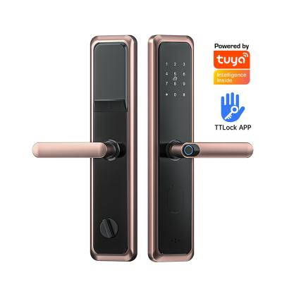 China Security Mortise 6068 Smart Home TTlock Tuya Smart Home Office Apartments Hotel Front Door Biometric Fingerprint Handle Lock WiFi APP Locks Home Security Mortise Lock for sale