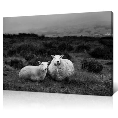 China Modern Classic Simple Color Sheep Grassland Art Canvas Printing Painting Wall Decor for sale