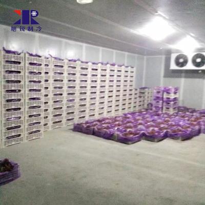 China Container Fruit Vegetable Meat Seafood Fish Freezer Cold Room Storage for sale