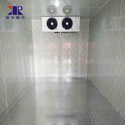 China China Wholesale Container Mini Freezer Cold Room Storage Blast Freezer Ice Cream and Chicken for sale