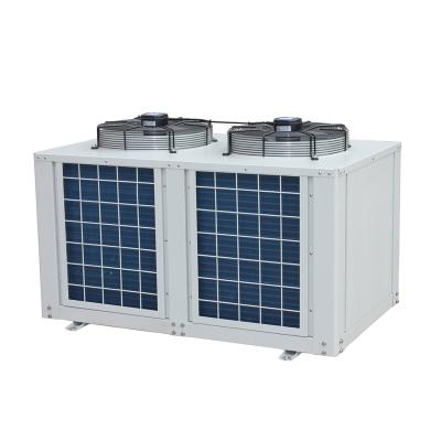 China Hotels Top Dump Condensing Unit For Cold Storage for sale