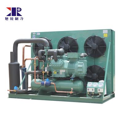 China Cold Storage Room Freezer Room Cold Room Air Cooled Freezer Compressor Semi-Hermetic Refrigeration Condensing Unit for sale