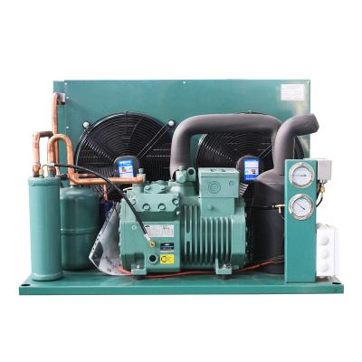 China Cold Storage Room Freezer Room Small Cold Storage Refrigeration Unit Condensing Cooling Machine for sale