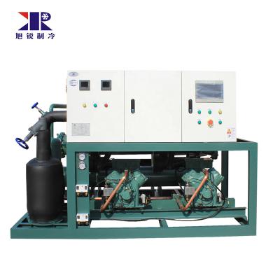 China Cold room blast freezer room tunnel refrigeration semi-hermetic piston compressor paralleled condensing units for sale