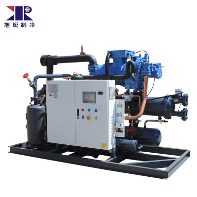 China Hotels High Efficiency Screw Compressor SW3L-6000 Professional Compressor Condensation Racks for sale