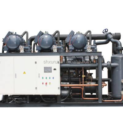 China High Quality Cold Storage Room Freezer Room Low Temperature Screw 2 Compressors Stands Air Cooled Condensing Unit for sale