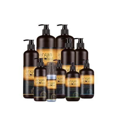 China New Best Anti-Dandruff Moisturize Argan Oil Hair Shampoo for sale