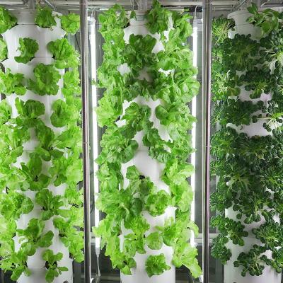 China Automatic Temperature Control Hydroponic Cultivation System For Crops for sale