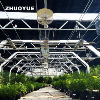 China Auto Blackout Greenhouse Light Deprivation Greenhouse For Controlled Crop Cultivation for sale