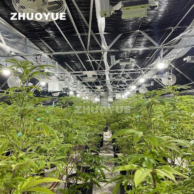 China Automatic Light Deprivation Greenhouse For Large Scale Cultivation With Humidity Control for sale