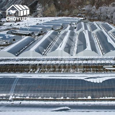 China Invernadero solar de estilo chino de 4 mm para la producción de cultivos durante todo el año en venta