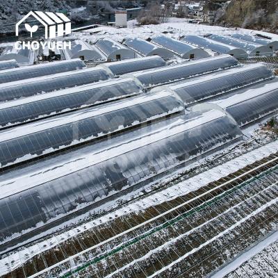 China UV Protected 4mm Solar Greenhouse For Vegetables And Flowers for sale